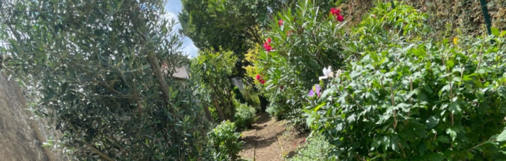 Stevy D. (entreprise DS)