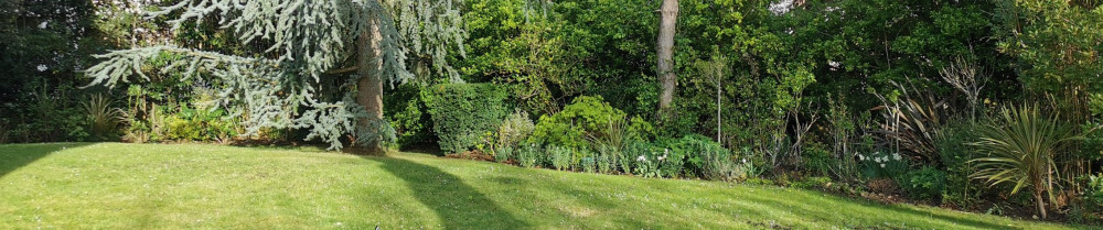 Ludovic G. (LG Entretien Jardins)