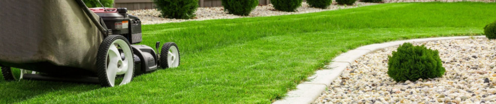 Dewald B. (Domus et Hortus)