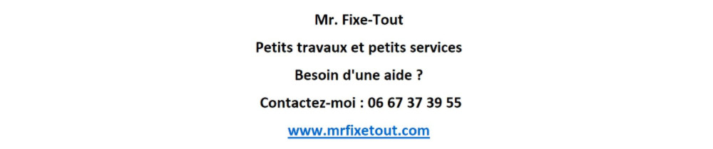 Mr. Fixe-Tout N.