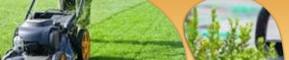 Yannick N. (ServiOcci'Aude)