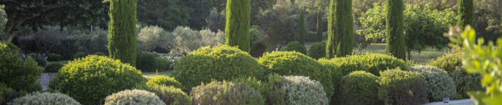Julien R. (Provence jardins)