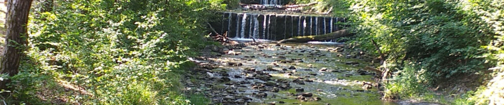 Franck G. (fg services)