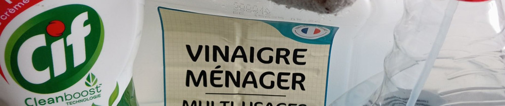 Alexandrine Lucie C. (LUCIE NETTOYAGE)