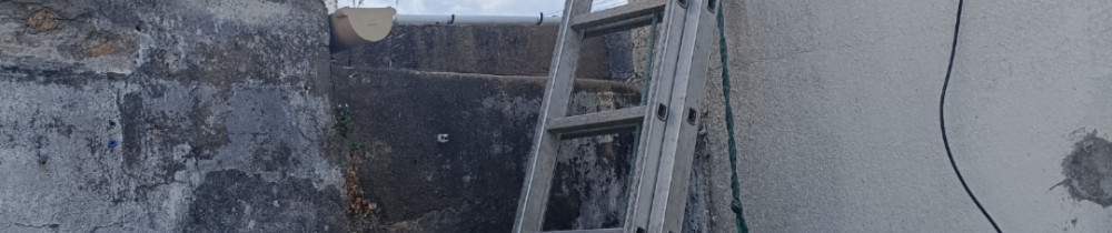 Bleuenn B.