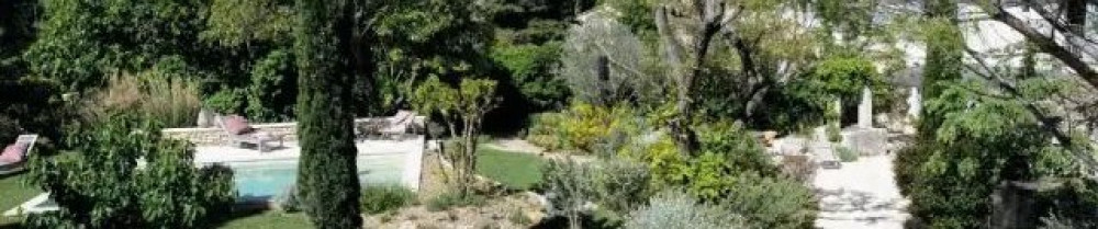 Elvis F. (Ferracci Multiservices)