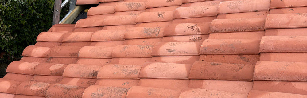 Didier M. (didier reno charpente multi...