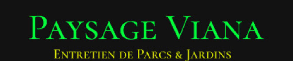 Dylan V. (Paysage Viana)