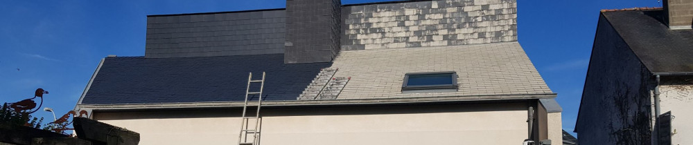 Ringo S. (rs renov35)