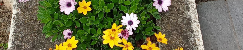 Sébastien C. (calvet service plus)