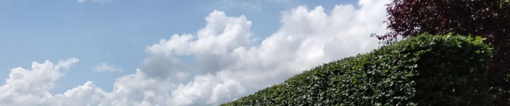 Valentin L. (Loison Espaces Verts)