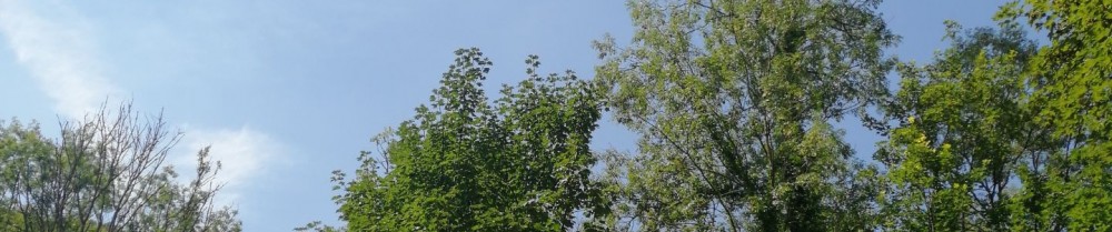 David D. (Davidservices)