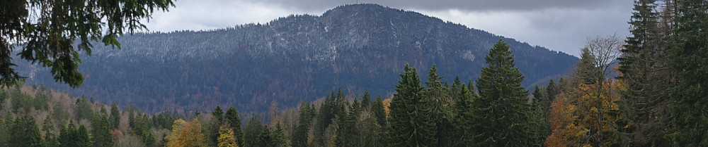 Tatiana P. (GROUPE PELLIER PY)