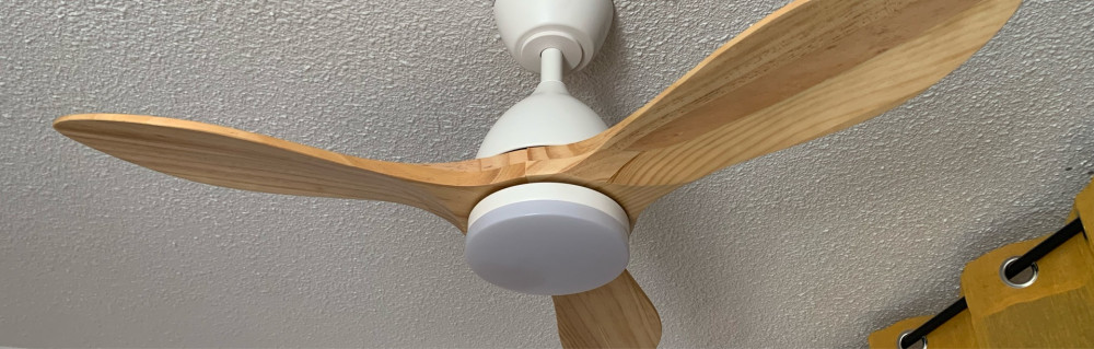 Daniel D. (Daniel auto entrepreneur)