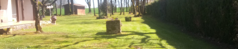 Clément P. (Poitevin Paysages)