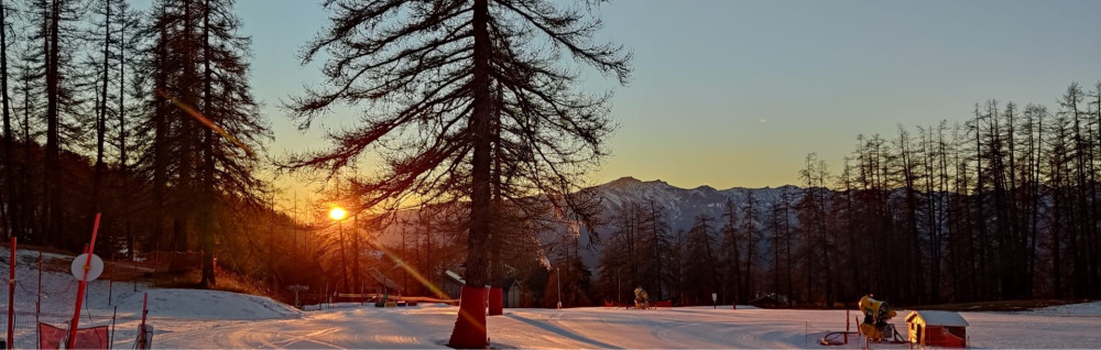 Axel F. (AF Services)