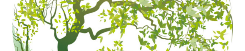 Jérémy D. (Sos garden 71)