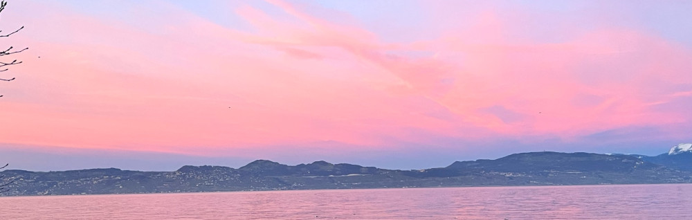 Cecilia A. (SG LIMPEZA)