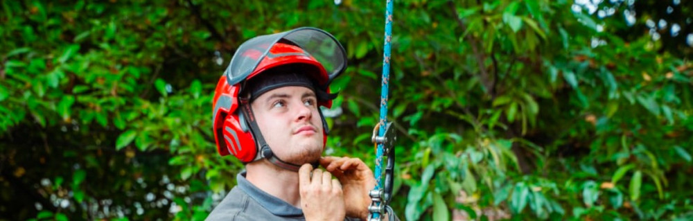 Paul S. (Sdl Elagage)