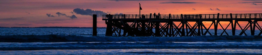 Catherine S. (Catherine Schneider)