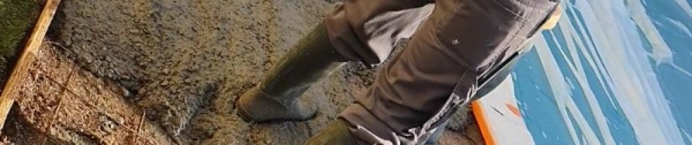 Jose Joao M. (jose joao juvencio marqu...