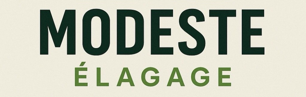 Noah D. (Modeste Elagage)