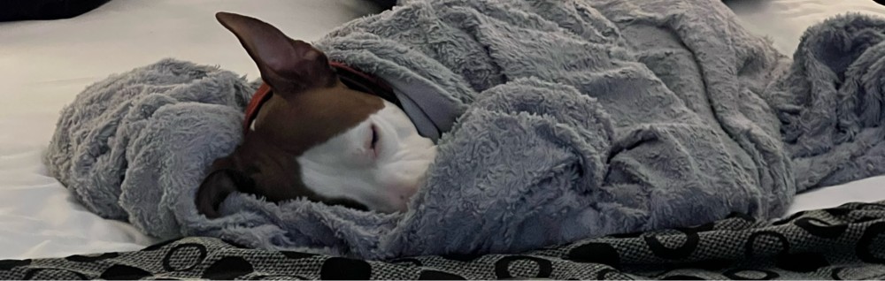 Elin F. (Elin Fletcher)