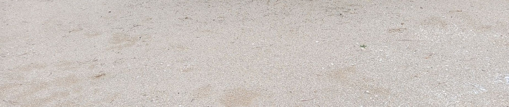 Gregory B. (Greg services)