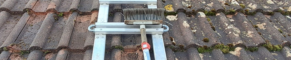 David M. (Artisan David M Rénovation)