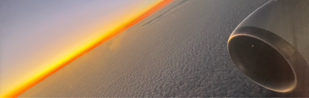 Abderrahim F. (squid bat)