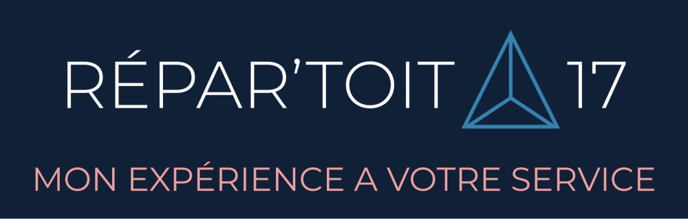 Damien P. (REPAR'TOIT)