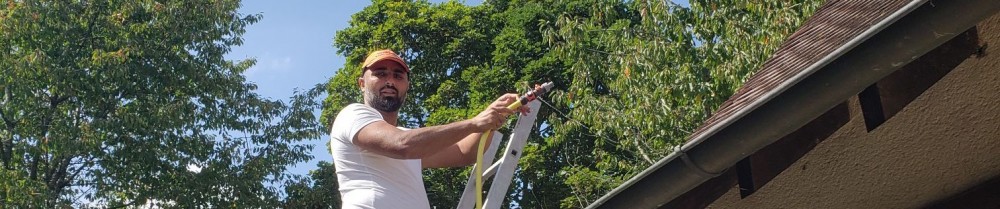 Giovanni L. (renovationlamberger)