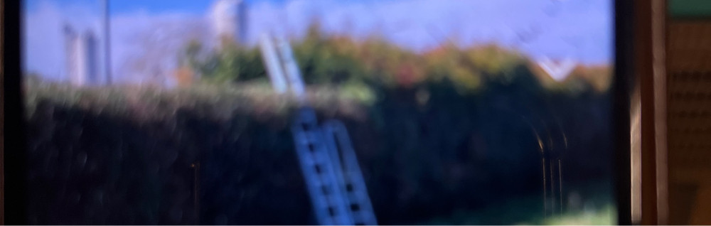 Manuel L. (Lepiller)