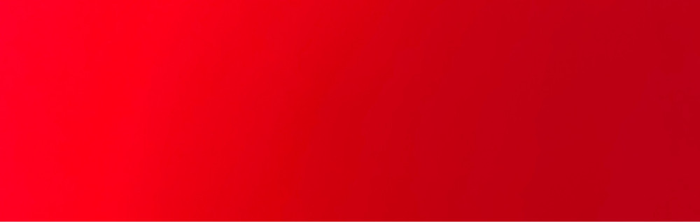 Kevin M. (Mécanique automobile 33)