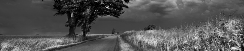 Karine R. (REVILLON KARINE PHOTOGRAPHE...