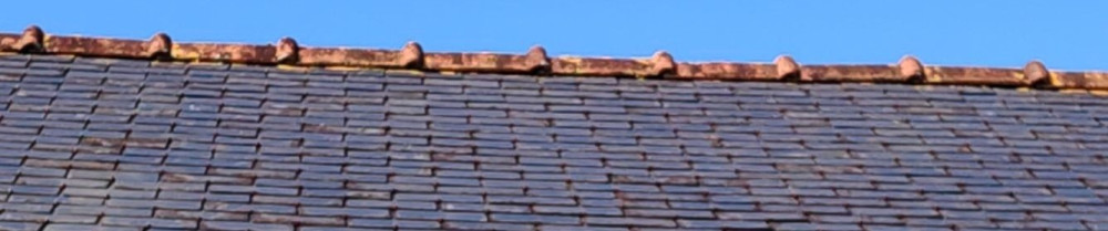 Lorenzo S. (Lorenzo stimbach)