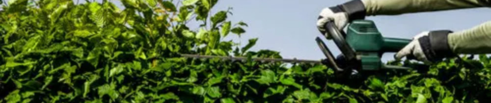 Jérôme B. (Jb Paysage)