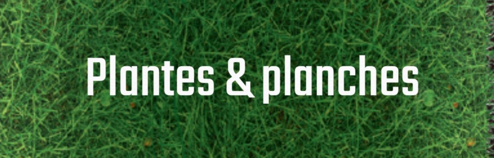 Aboubacry S. (plantes & planches)