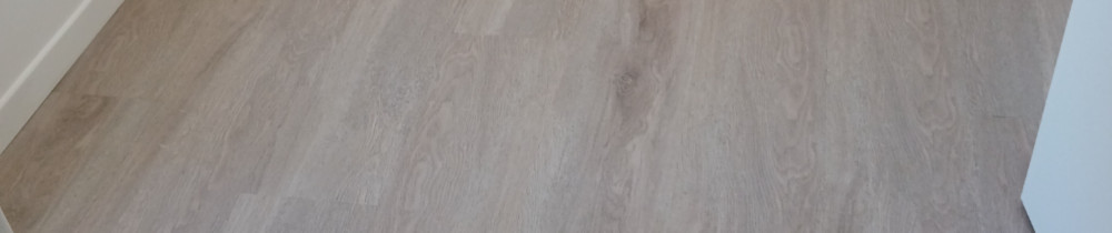 Peinture Joseph S. (Peinture Joseph Sa...