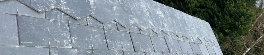 Julian L. (Histoire de toit)