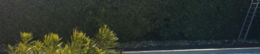 Florent E. (L'artisan Du Jardin)