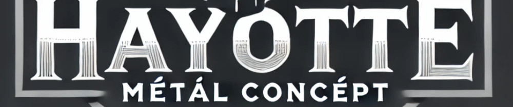 Maximilian H. (maximilian hayotte)