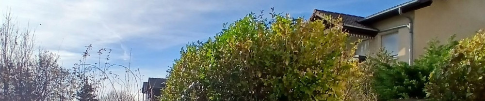 Gael T. (Sentiers Libres)