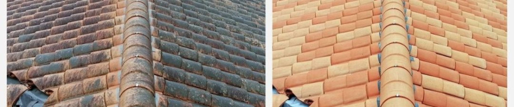 Christopher B. (Benoteau Christopher)