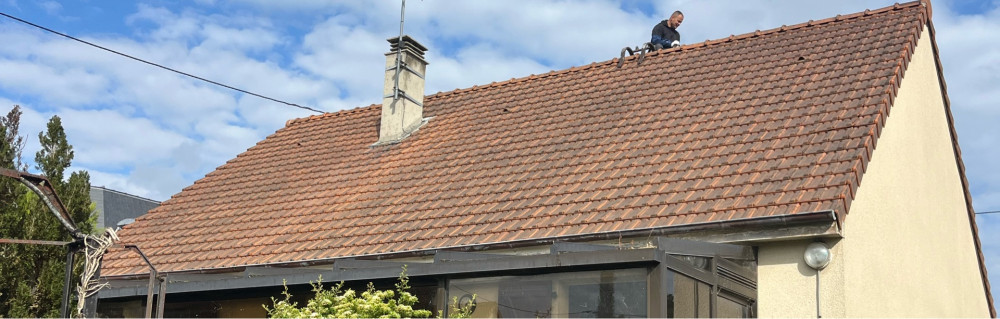 Riley J. (Jardin Riley)