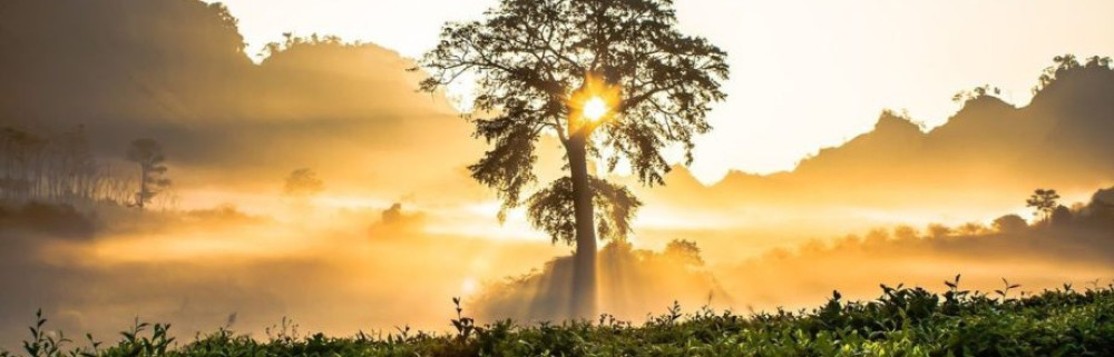 Jardin D Éden J. (Société ￼jardins d’é...