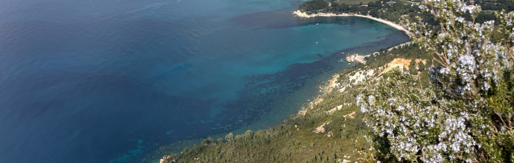 Océane P.