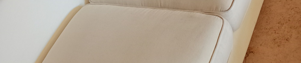 Doriane L. (MD home clean)