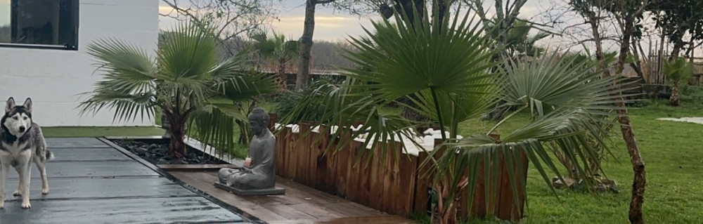 Luka T. (thomas renovation)