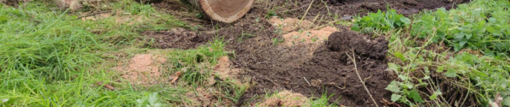 Sebastien L. (Lebreuilly Sebastien)